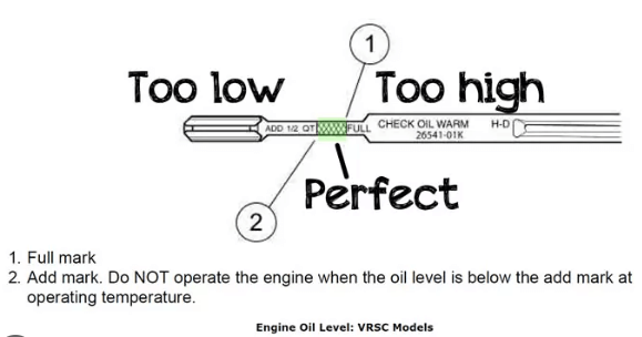 Harley Davidson oil level