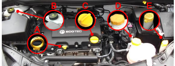 How to check car fluid levels - An overview